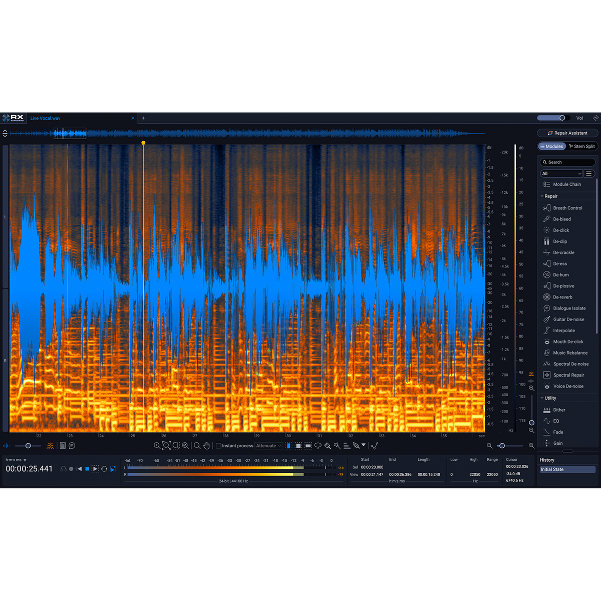 iZotope RX 12 Standard — software interface