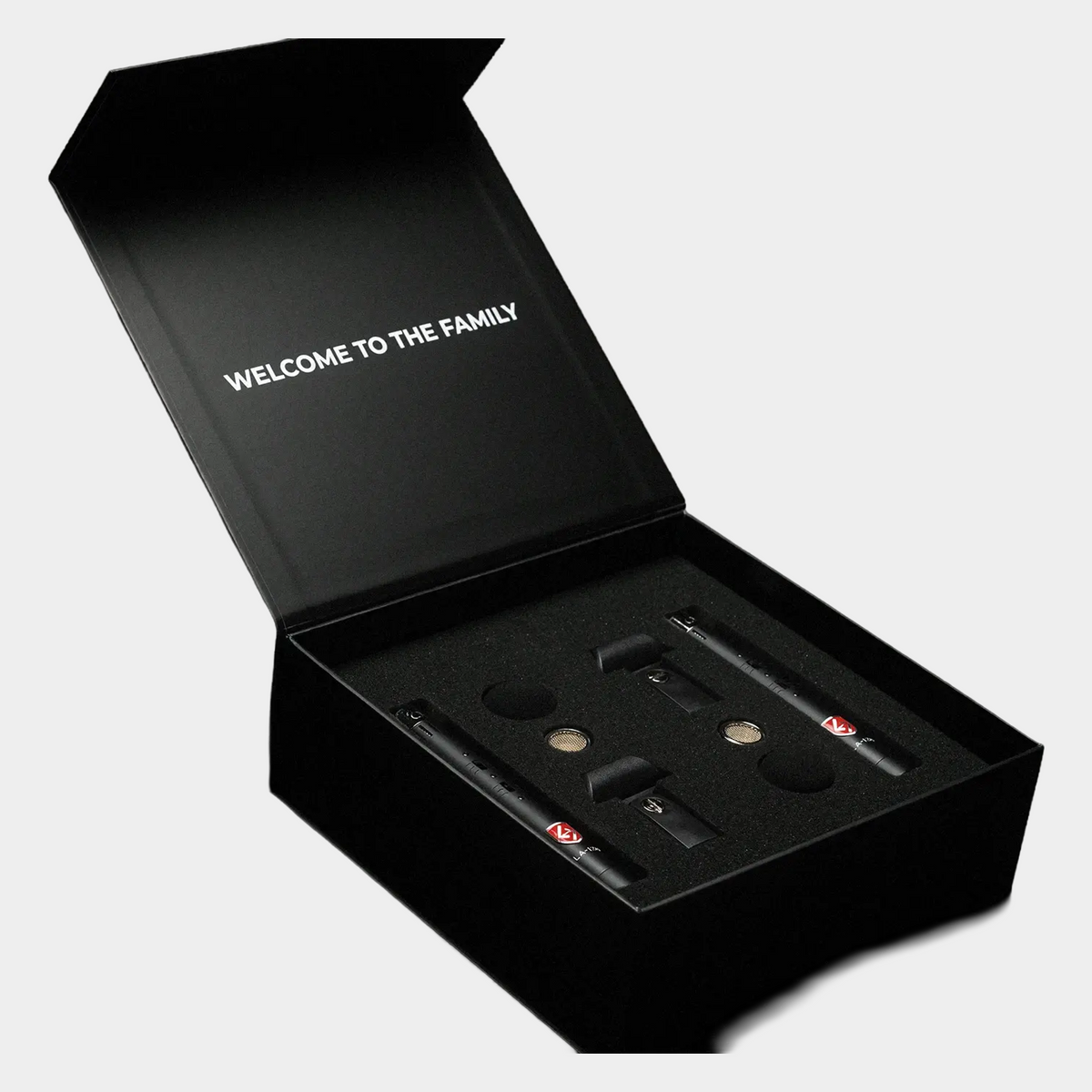 Lauten Audio LA-120 V2 Small-Diaphragm Condenser Microphones (Matched Pair)